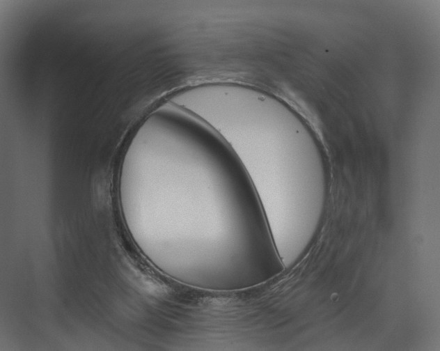 X0000074240107200608250852