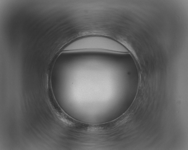 X0000074240109200608250852