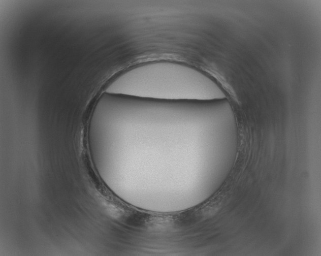 X0000074240110200608250852