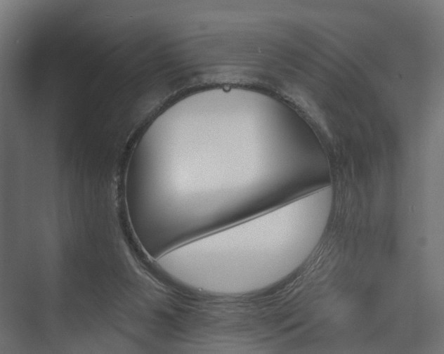 X0000074240111200608250852