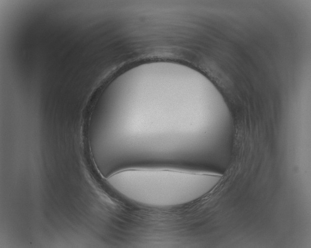 X0000074240112200608250852