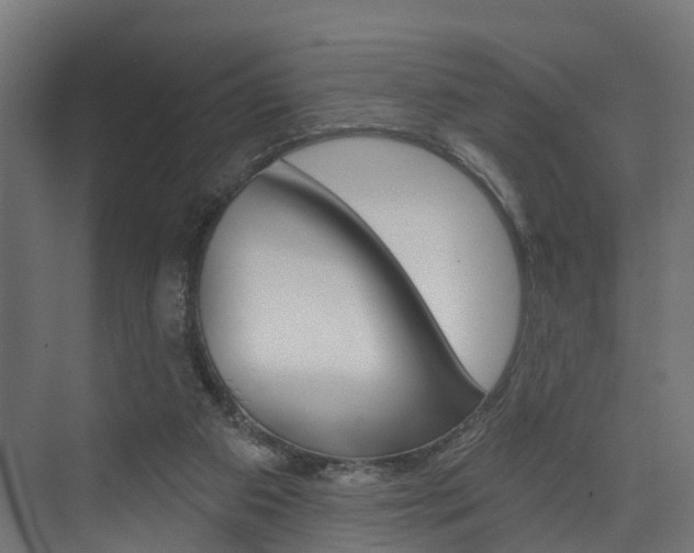 X0000074240113200608250852