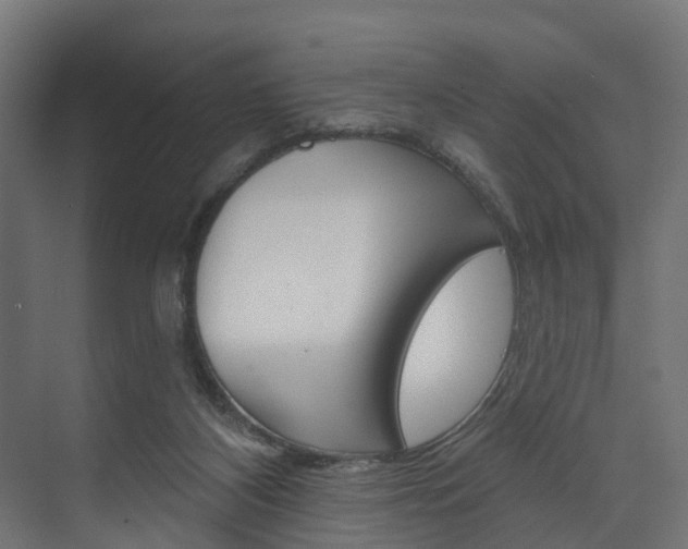 X0000074240116200608250852