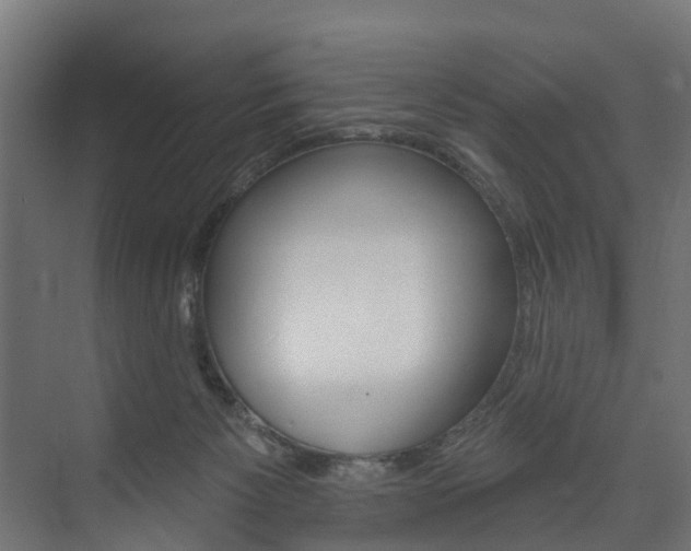 X0000074240125200608250852