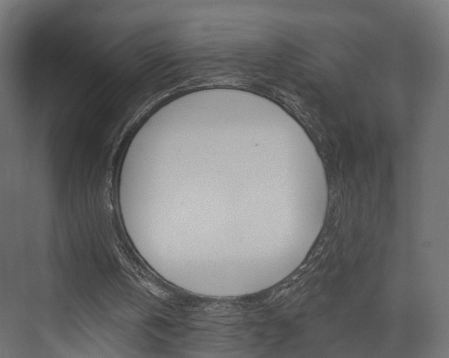 X0000074240146200608250851