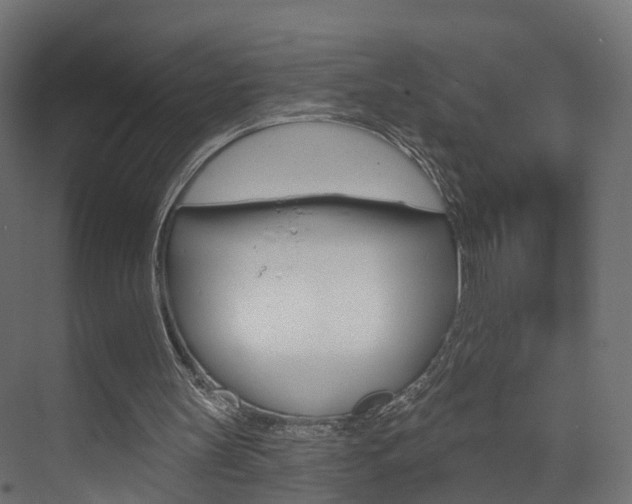 X0000074240147200608250851