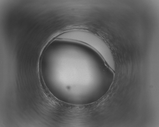X0000074240148200608250851