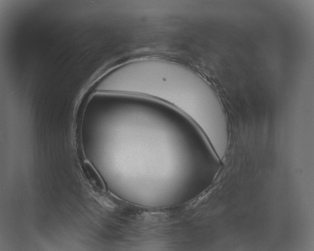 X0000074240150200608250851