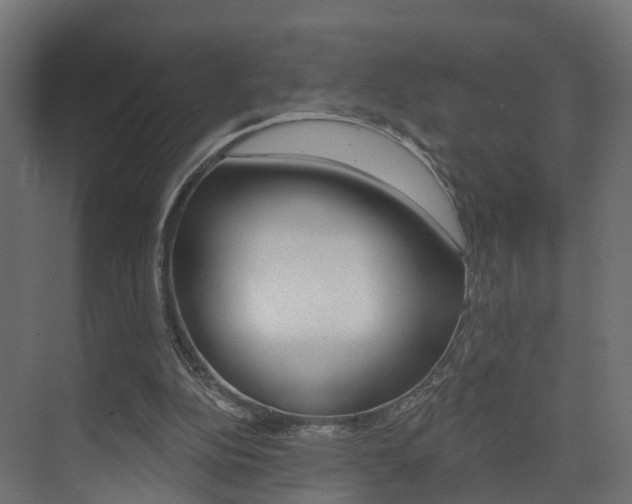 X0000074240152200608250851