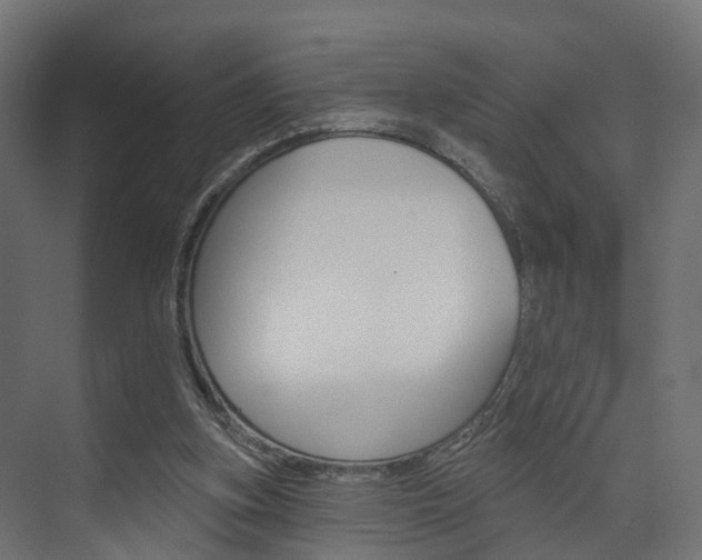 X0000074240155200608250851