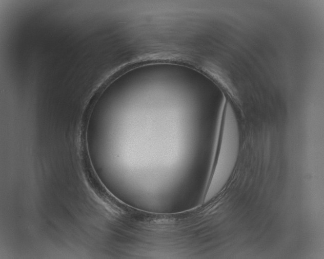 X0000074240156200608250851