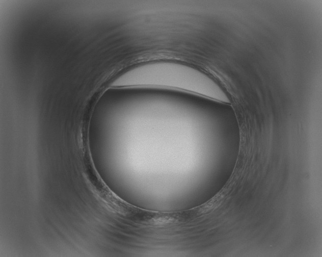 X0000074240158200608250851