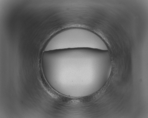 X0000074240159200608250851