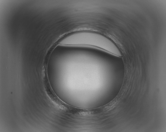 X0000074240160200608250851