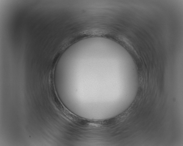 X0000074240167200608250851