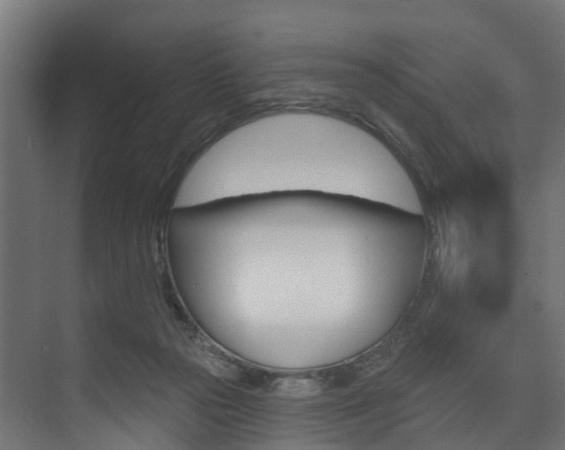 X0000074240169200608250851