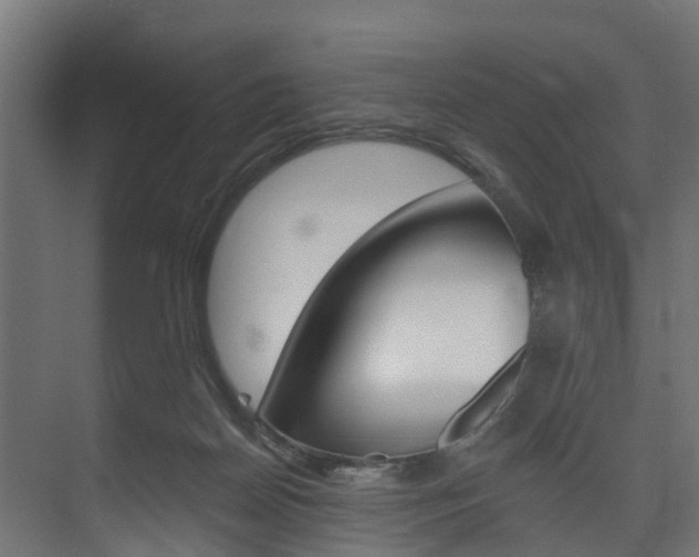 X0000074240170200608250851