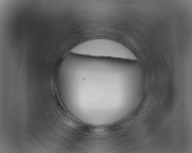 X0000074240173200608250851