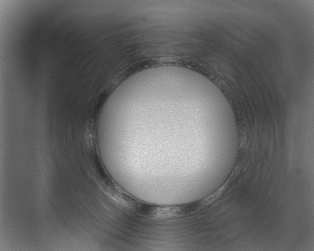 X0000074240179200608250851