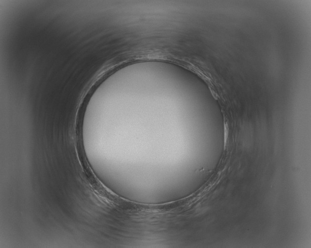 X0000074240195200608250851