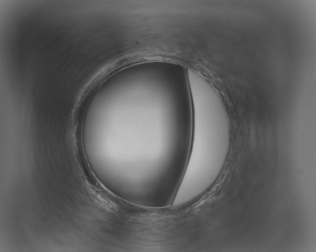 X0000074240197200608250851