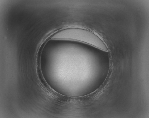 X0000074240199200608250851