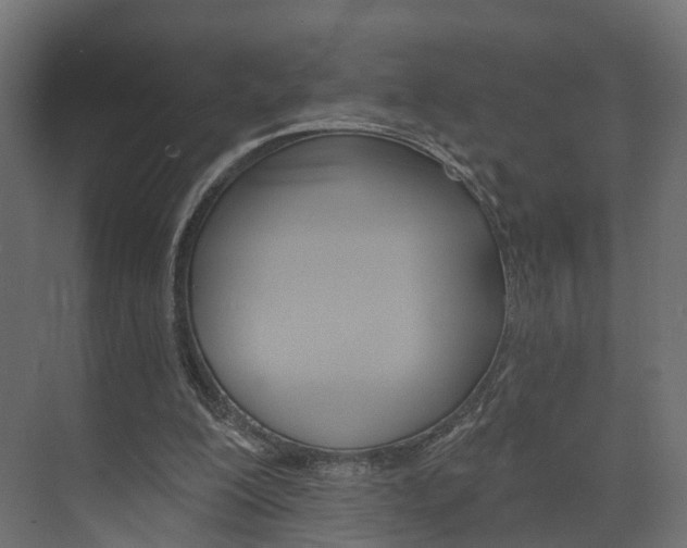 X0000074240200200608250851