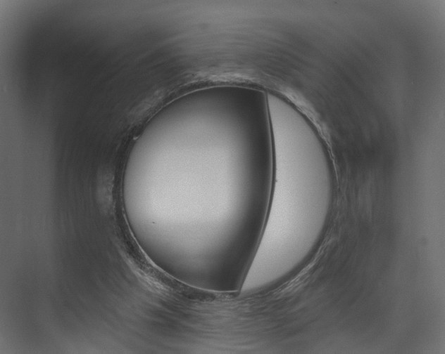 X0000074240201200608250851