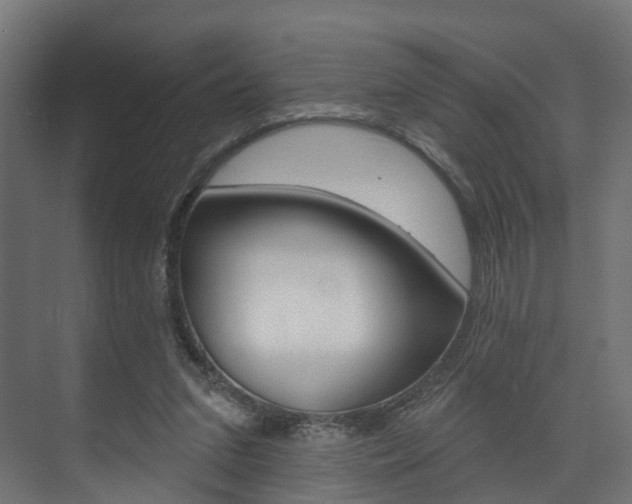 X0000074240207200608250850
