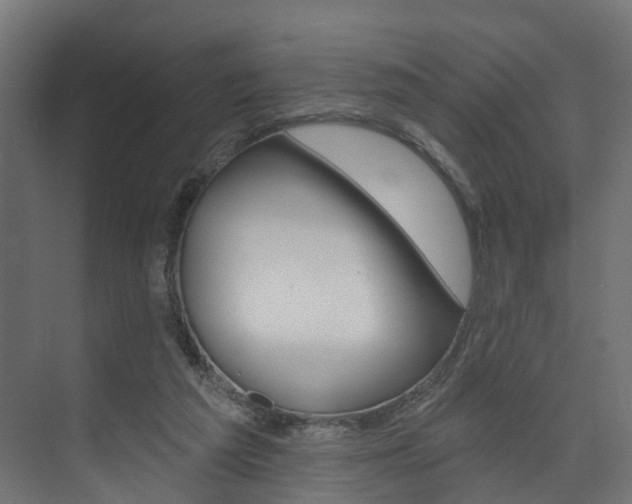 X0000074240209200608250850
