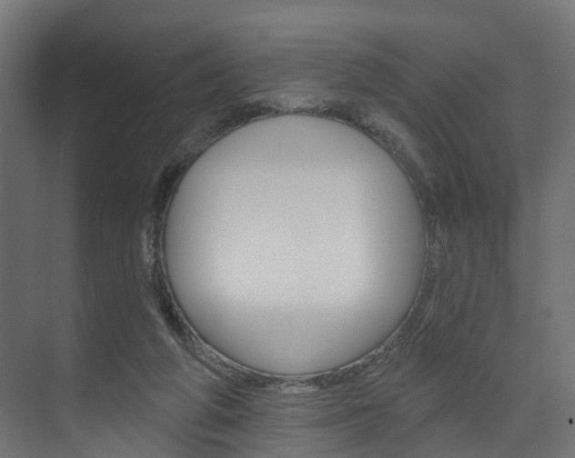 X0000074240210200608250850
