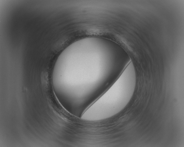 X0000074240211200608250850