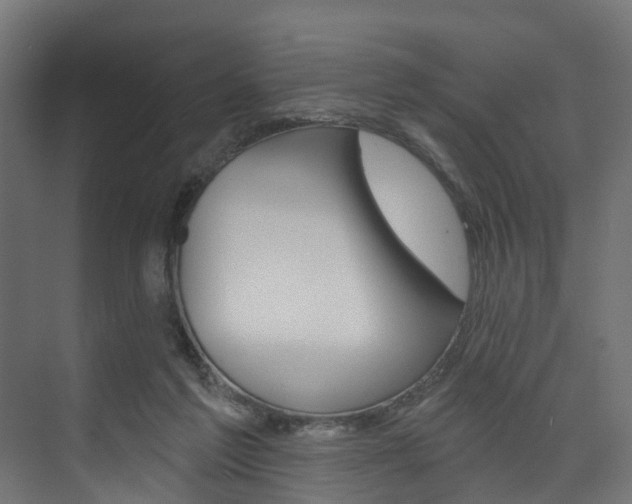X0000074240213200608250850