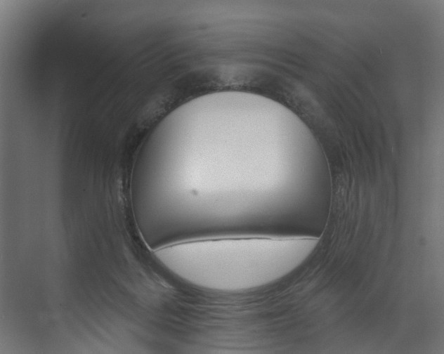X0000074240220200608250850