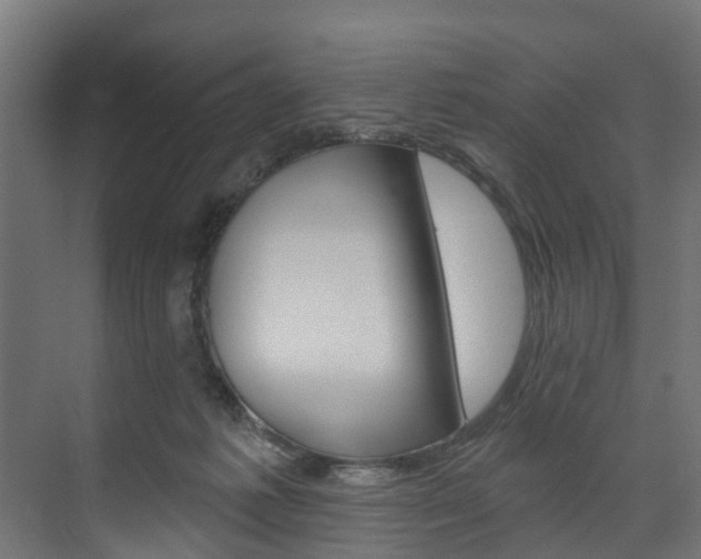 X0000074240221200608250850