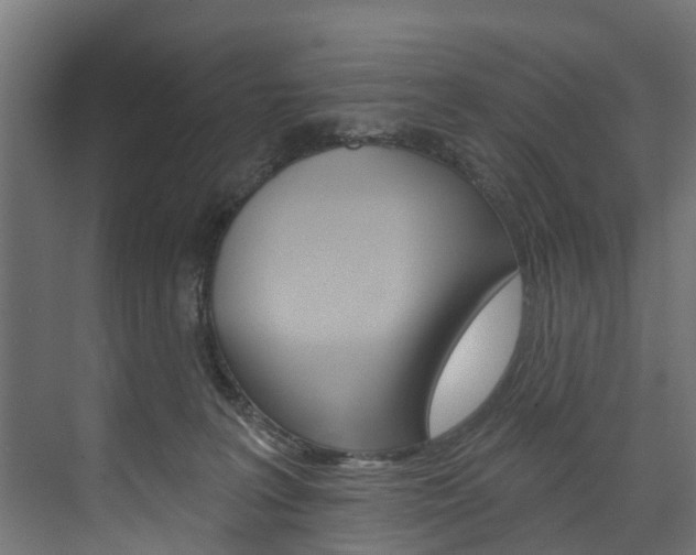 X0000074240227200608250850