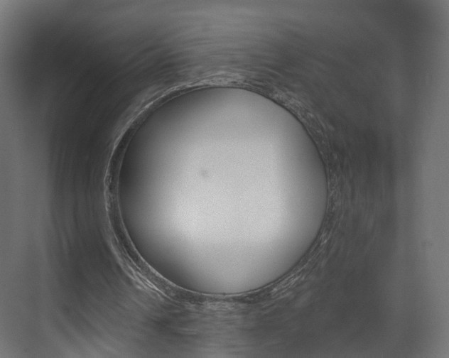 X0000074240242200608250849