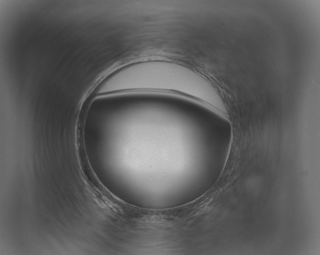 X0000074240244200608250849