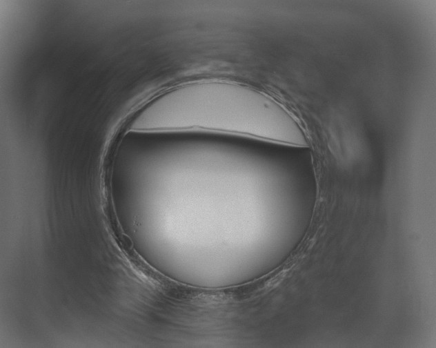 X0000074240245200608250849