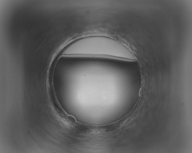 X0000074240248200608250849