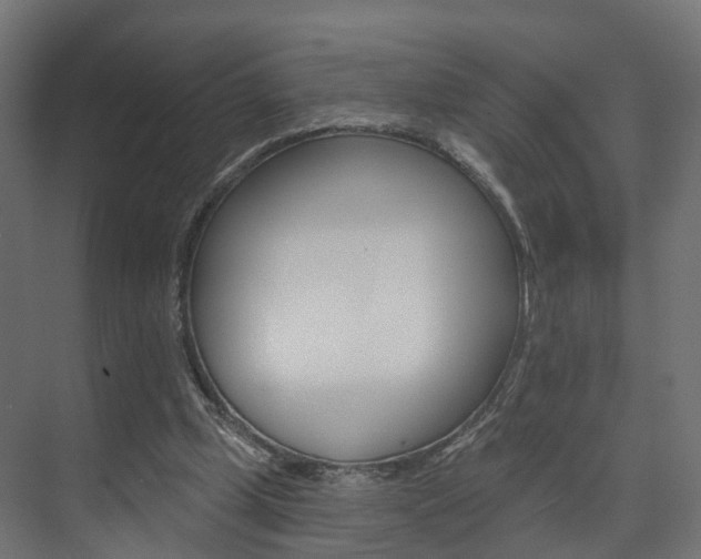 X0000074240249200608250849