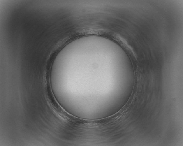 X0000074240250200608250849