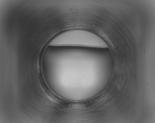 X0000074240251200608250849