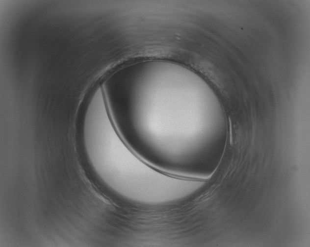 X0000074240252200608250849