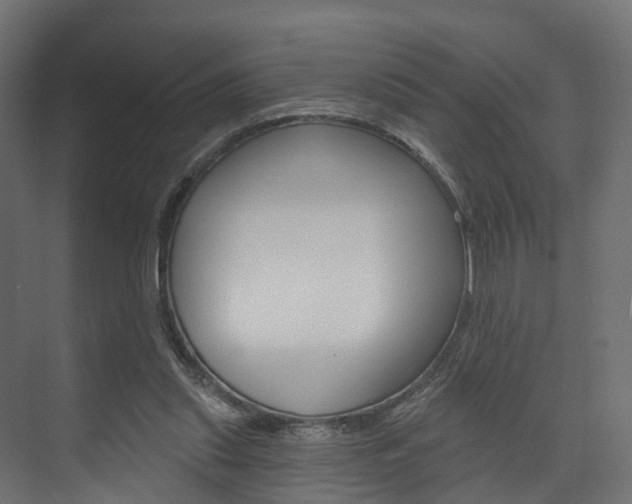 X0000074240253200608250849