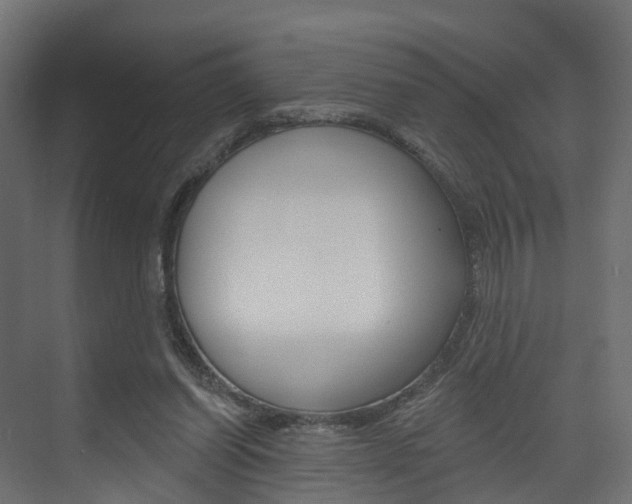 X0000074240254200608250849