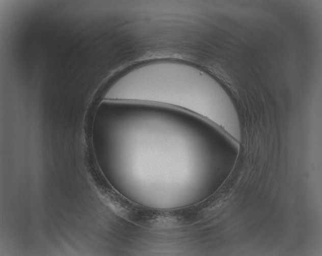 X0000074240256200608250849