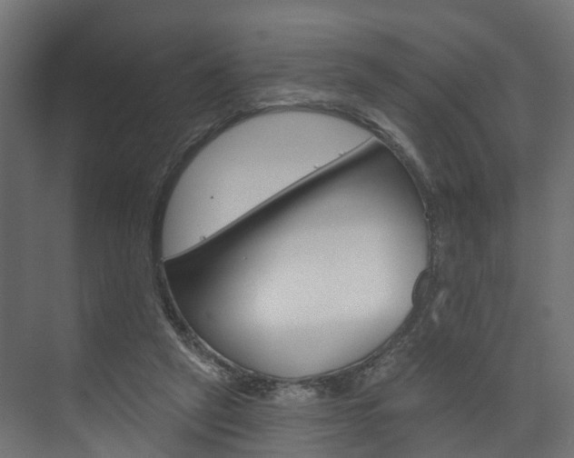 X0000074240257200608250849