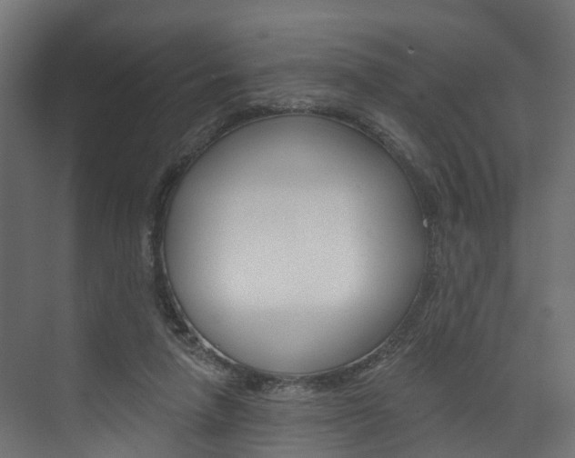 X0000074240258200608250849