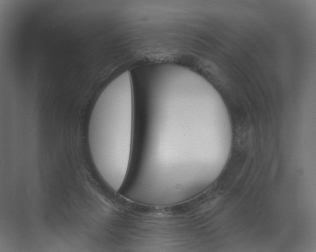 X0000074240259200608250849